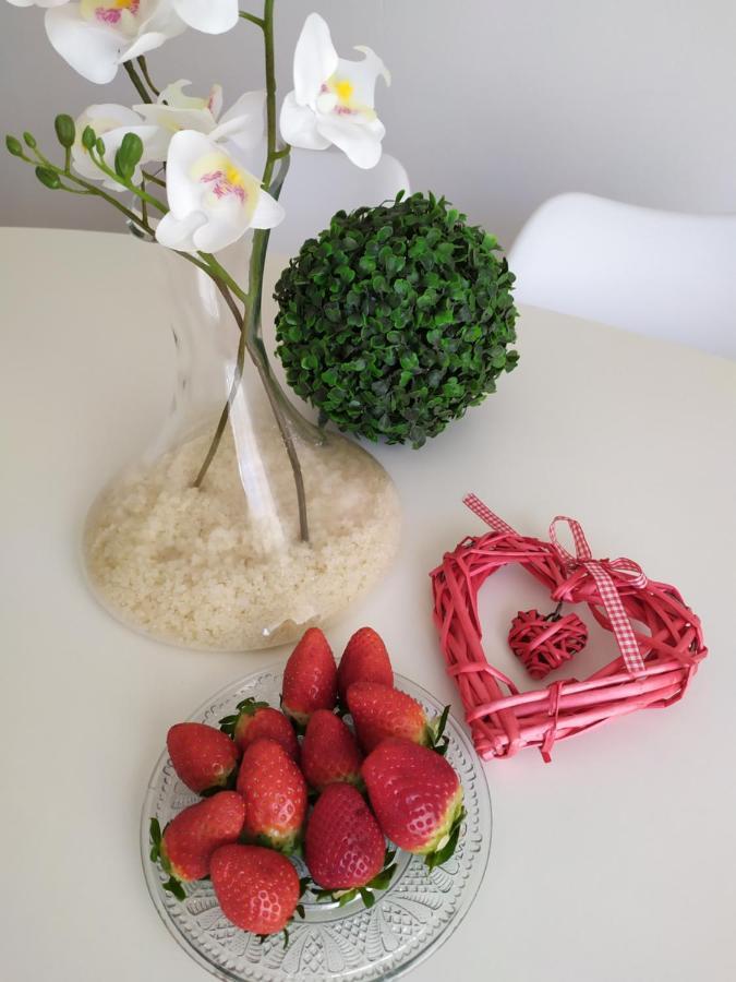 Apartamentos Xert Escapadas En Castellon Cerca De Morella Y Peniscola Chert Sant Mateu 外观 照片