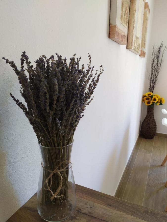 Apartamentos Xert Escapadas En Castellon Cerca De Morella Y Peniscola Chert Sant Mateu 外观 照片